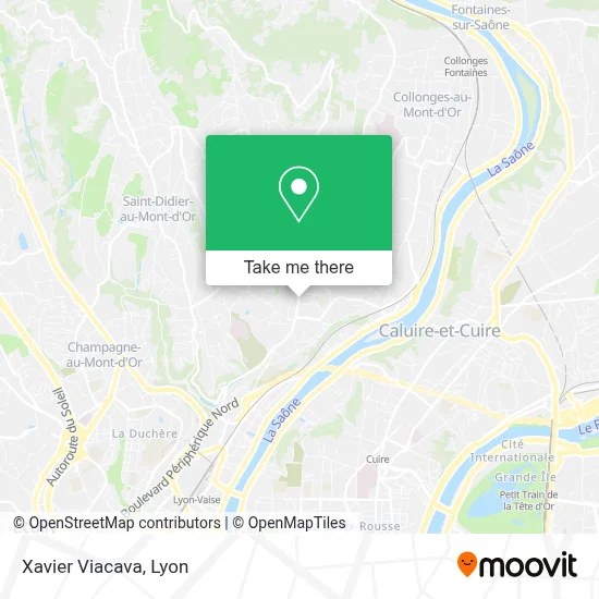 Xavier Viacava map