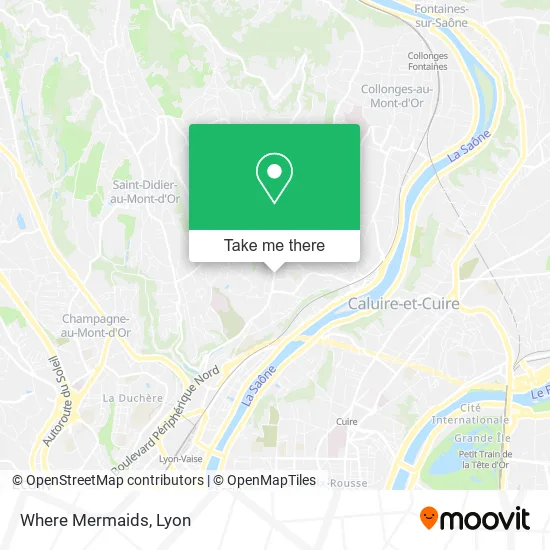 Where Mermaids map