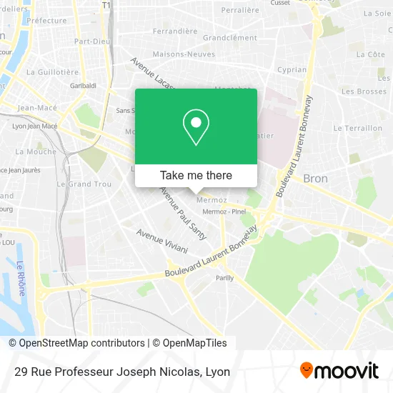 29 Rue Professeur Joseph Nicolas map