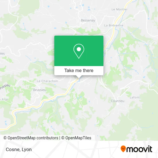 Cosne map