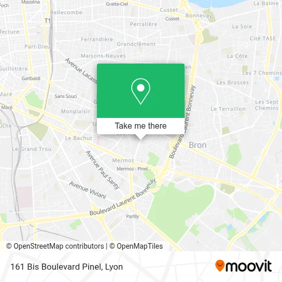 161 Bis Boulevard Pinel map