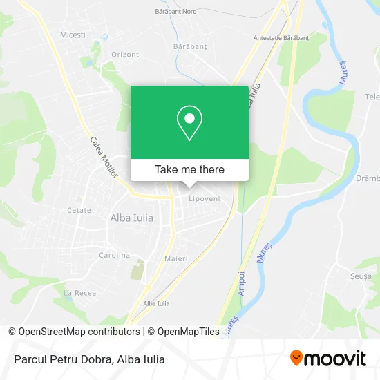 Parcul Petru Dobra map