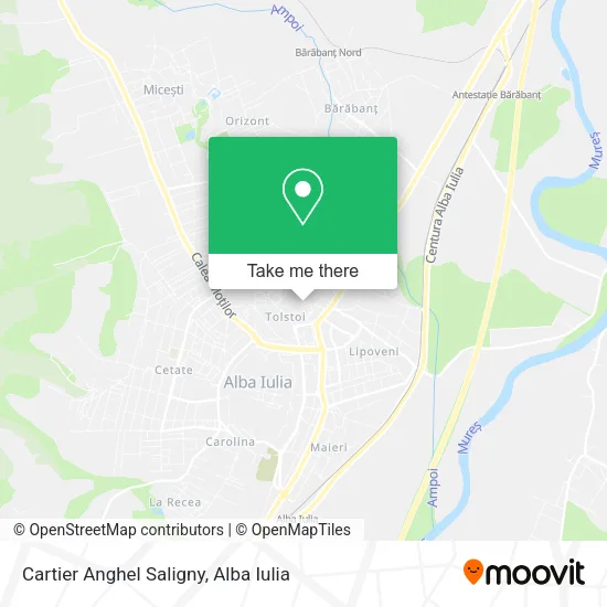 Cartier Anghel Saligny map