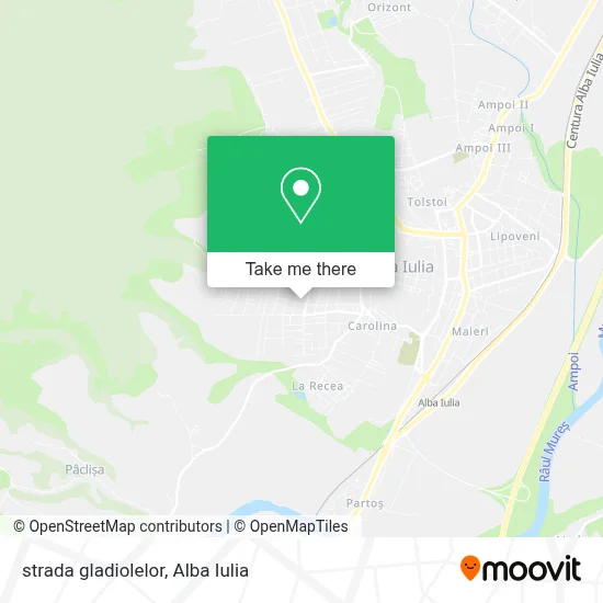 strada gladiolelor map