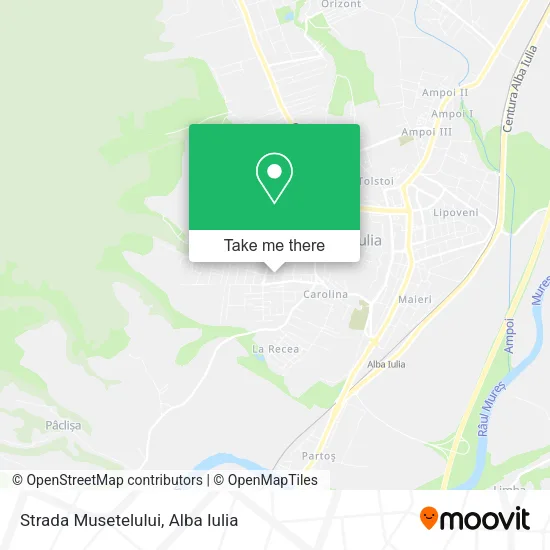 Strada Musetelului map