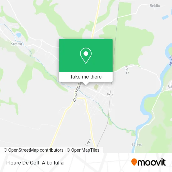 Floare De Colt map
