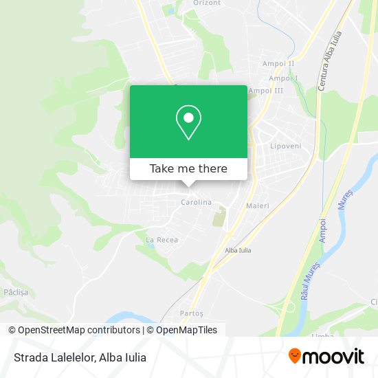 Strada Lalelelor map