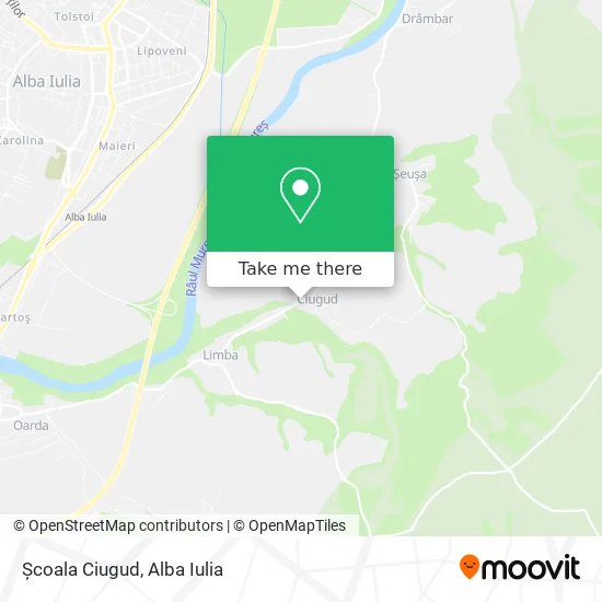 Școala Ciugud map