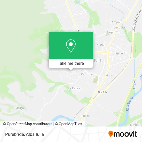 Purebride map