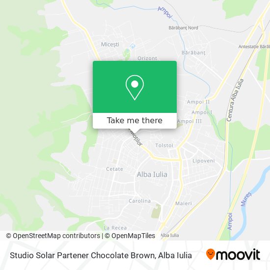 Studio Solar Partener Chocolate Brown map