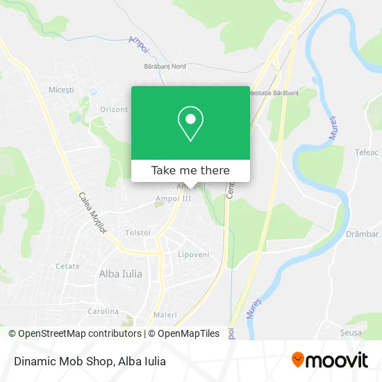 Dinamic Mob Shop map