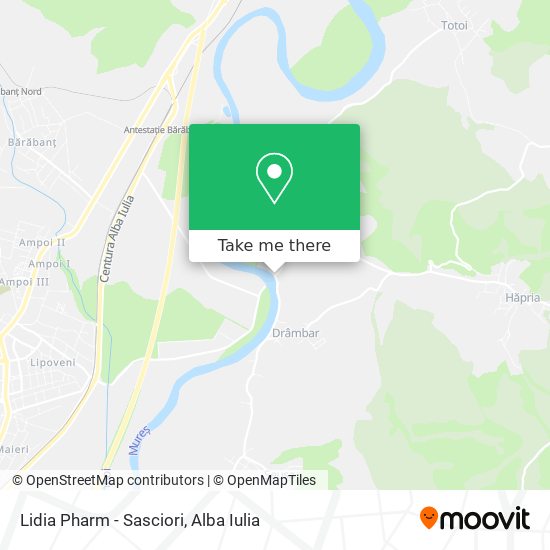 Lidia Pharm - Sasciori map