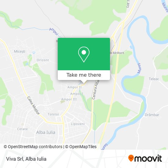 Viva Srl map