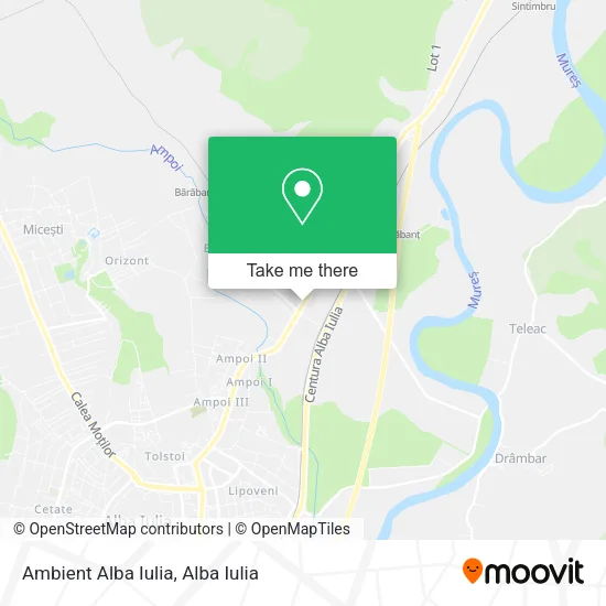 Ambient Alba Iulia map