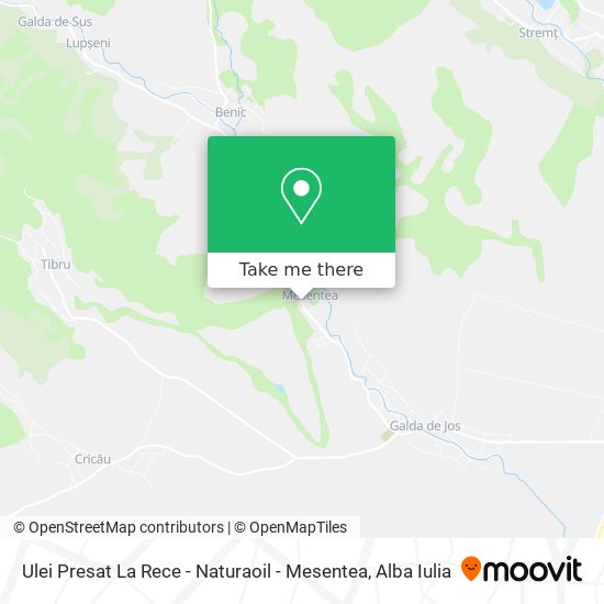 Ulei Presat La Rece - Naturaoil - Mesentea map