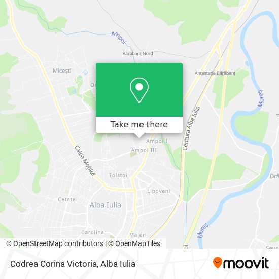 Codrea Corina Victoria map