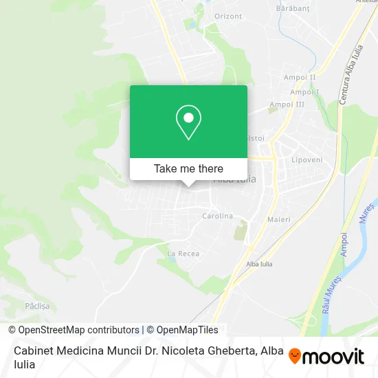 Cabinet Medicina Muncii Dr. Nicoleta Gheberta map