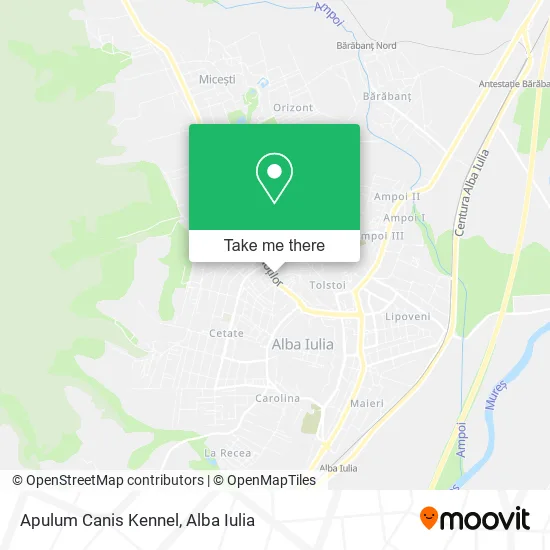 Apulum Canis Kennel map