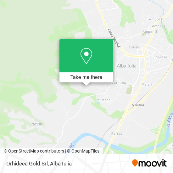 Orhideea Gold Srl map