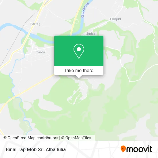 Binal Tap Mob Srl map