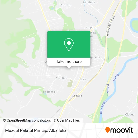 Muzeul Palatul Princip map