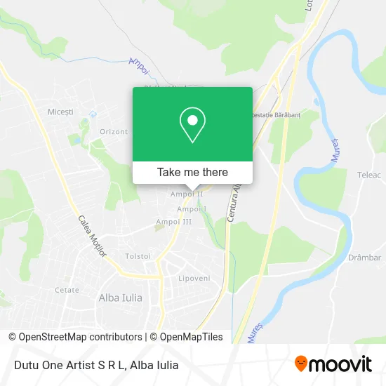 Dutu One Artist S R L map