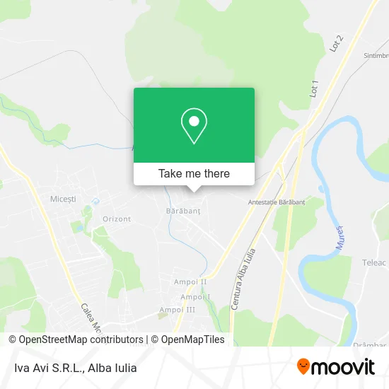Iva Avi S.R.L. map
