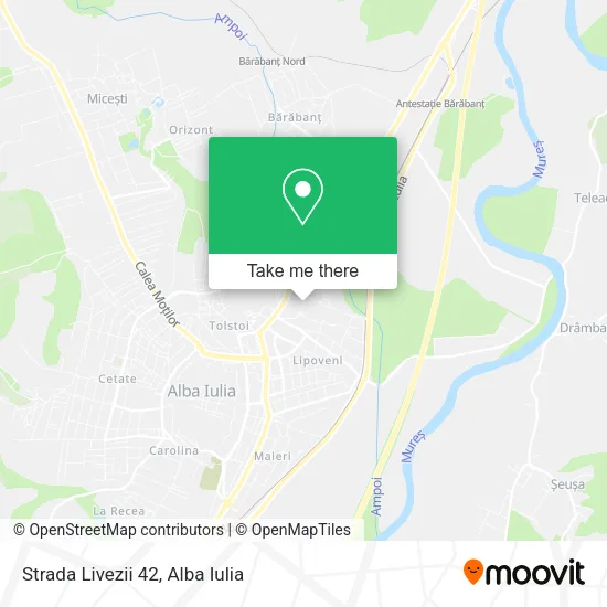Strada Livezii 42 map