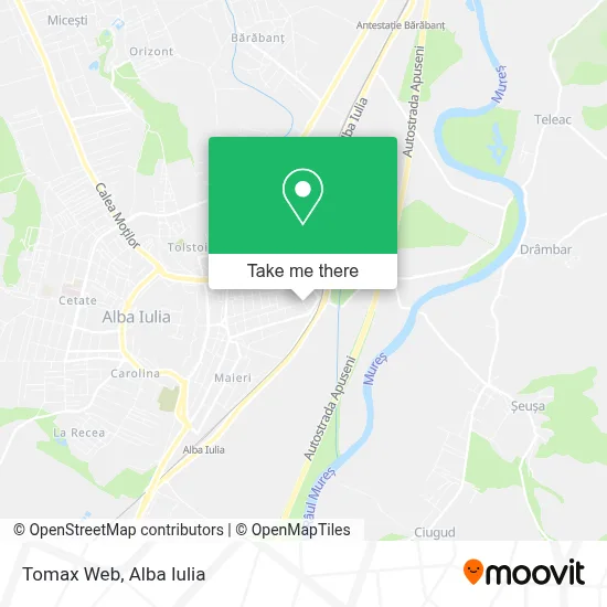 Tomax Web map
