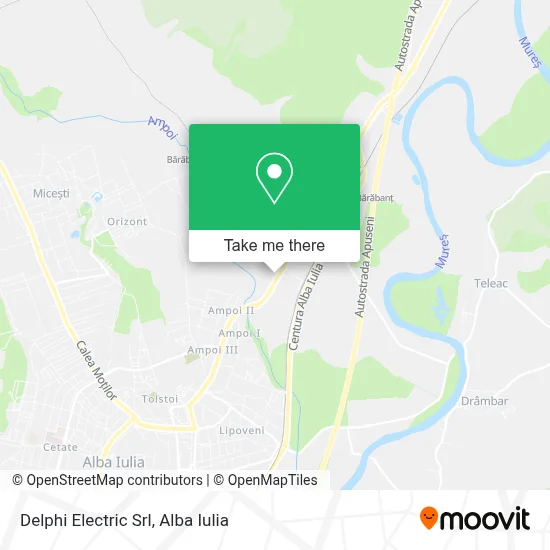Delphi Electric Srl map