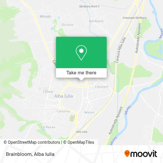 Brainbloom map