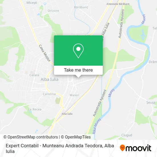 Expert Contabil - Munteanu Andrada Teodora map