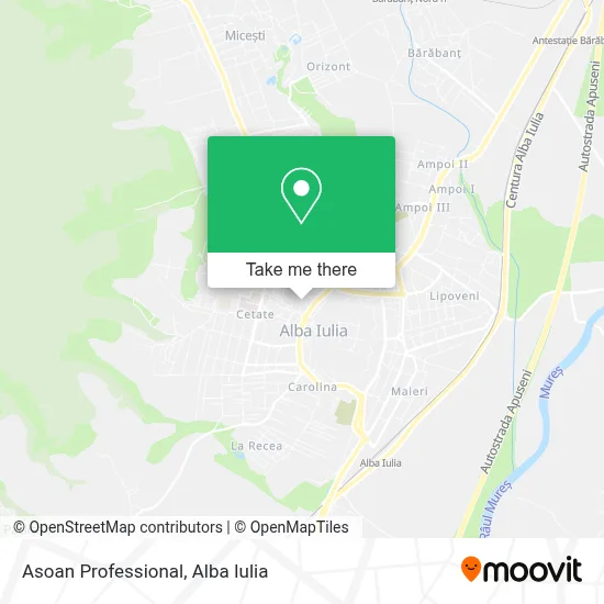 Asoan Professional map