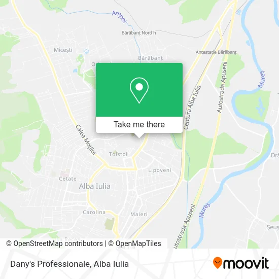 Dany's Professionale map