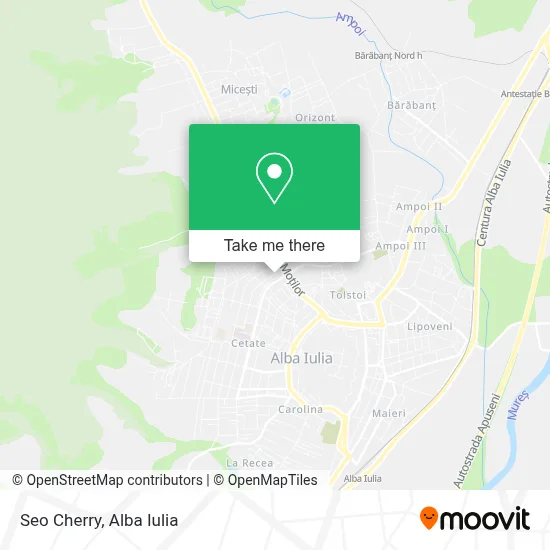 Seo Cherry map