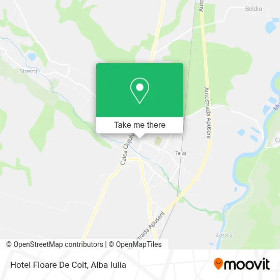 Hotel Floare De Colt map