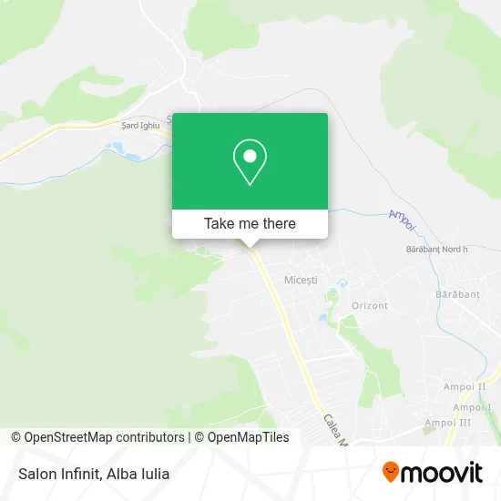 Salon Infinit map