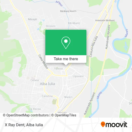 X Ray Dent map