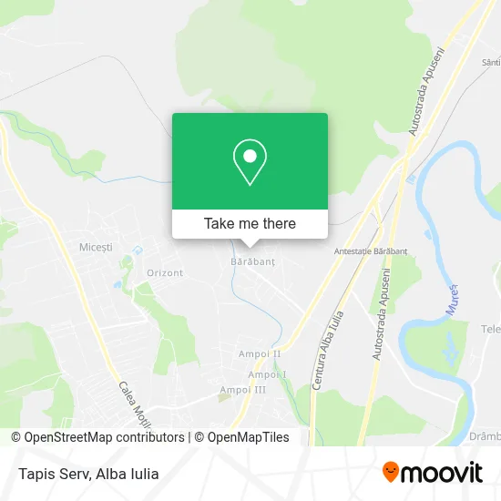 Tapis Serv map