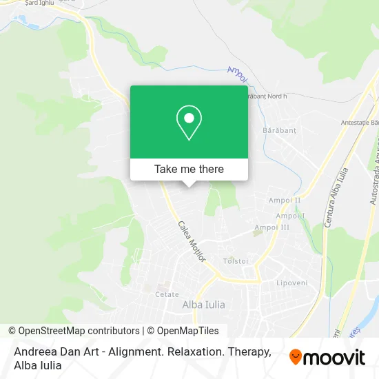 Andreea Dan Art - Alignment. Relaxation. Therapy map