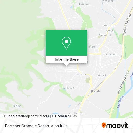 Partener Cramele Recas map