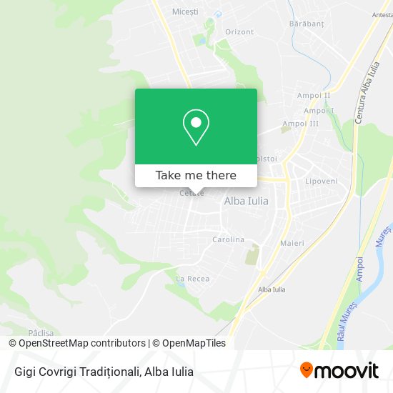 Gigi Covrigi Tradiționali map