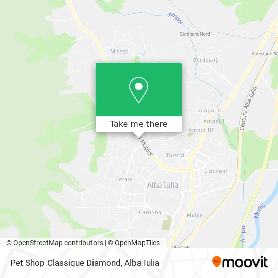 Pet Shop Classique Diamond map