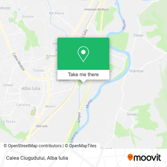 Calea Ciugudului map