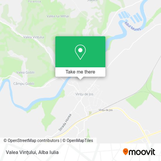 Valea Vinţului map