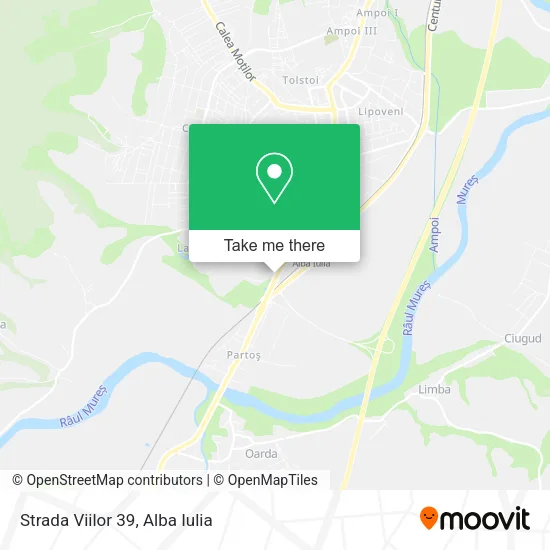 Strada Viilor 39 map