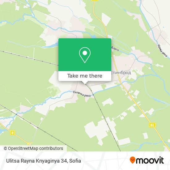 Карта Ulitsa Rayna Knyaginya 34