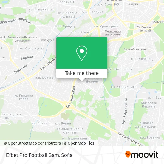 Карта Efbet Pro Football Gam