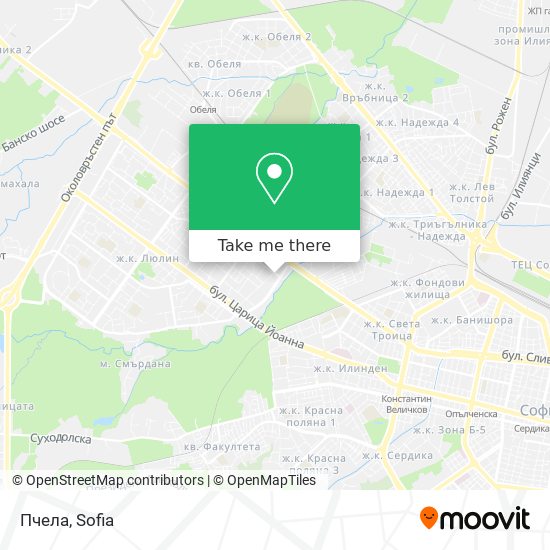 Пчела map