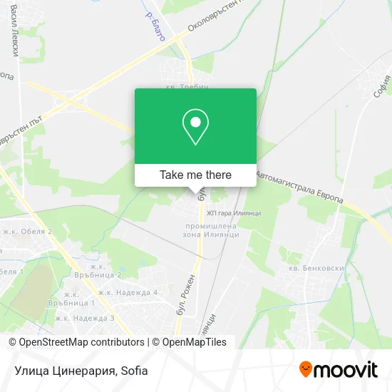 Карта Улица Цинерария